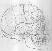 Martens, Leichtfassliche Darstellung der Theorie des Gehirn- und Schädelbaues und der daraus entspringenden physiognomischen und psychologischen Folgerungen des Herrn Dr. Gall in Wien, 1803.