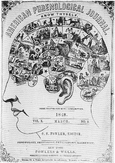 American Phrenological Journal