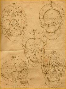 History of Phrenology on the Web History of Phrenology on the Web