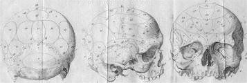 Diagram from Blde, 1806.