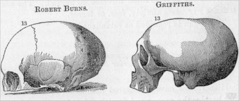 The organ of Benevolence compared from Combe 1850.